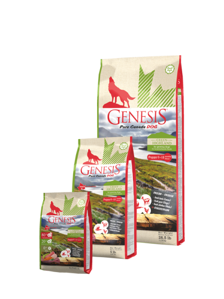Genesis Pure Canada - puppy Green Highland